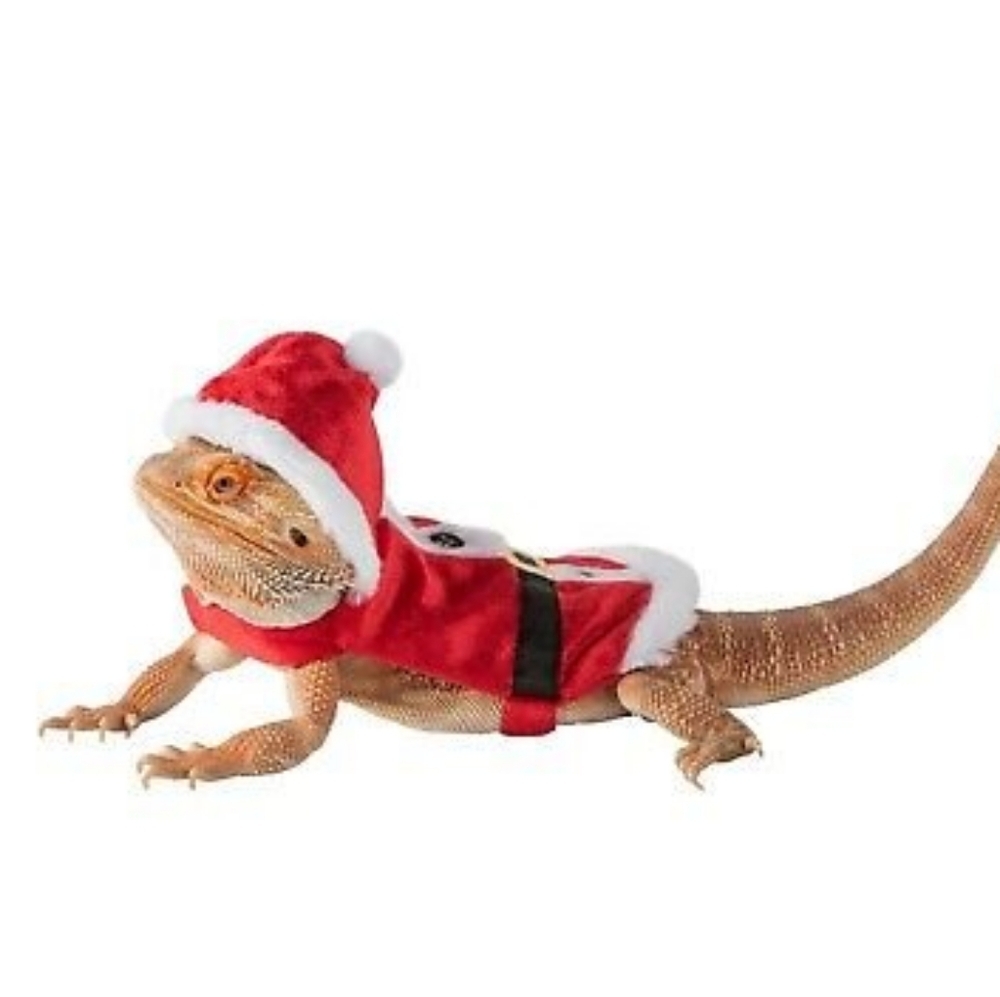 📣Bundle of 2️⃣ Merry & Bright Santa Reptile 🦎 Costume & Christmas Sweater 🎄🎁